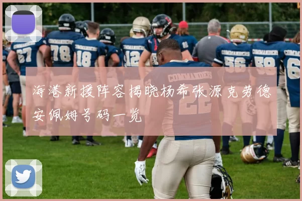 海港新援阵容揭晓杨希张源克劳德安佩姆号码一览